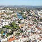 Palm Tree Apartment, Town Centre *