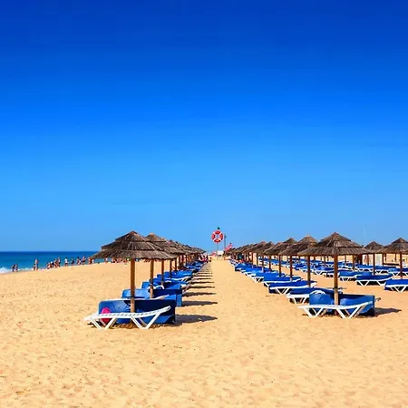 Apartamento Palm Tree Apartment, Town Centre